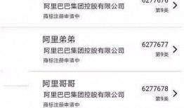 阿巴巴最新爆料新闻网站,揭秘科技巨头背后的秘密与挑战